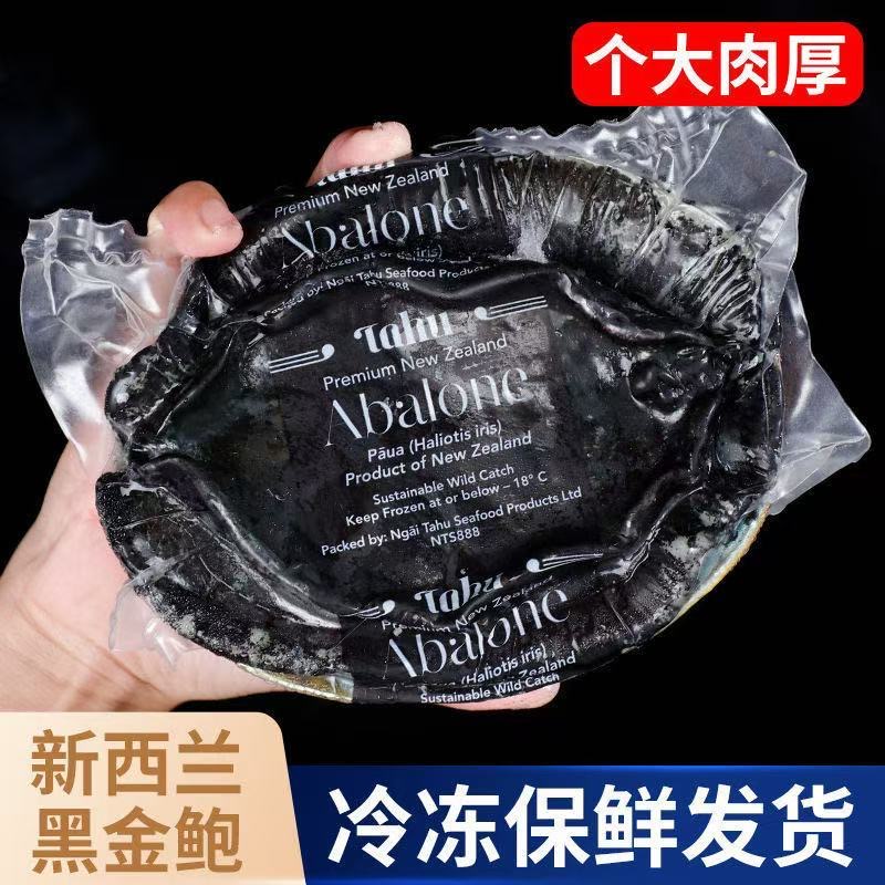 新西兰黑金进口鲍鱼新鲜海鲜冷冻刺身鲜冻特黑金鲍鲜活新鲜超大号