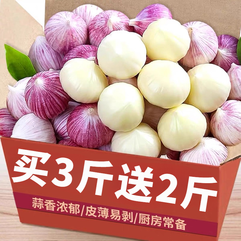 【买3斤送2斤】正宗紫皮独头大蒜珍珠蒜腊八蒜特大号干大蒜产地直发