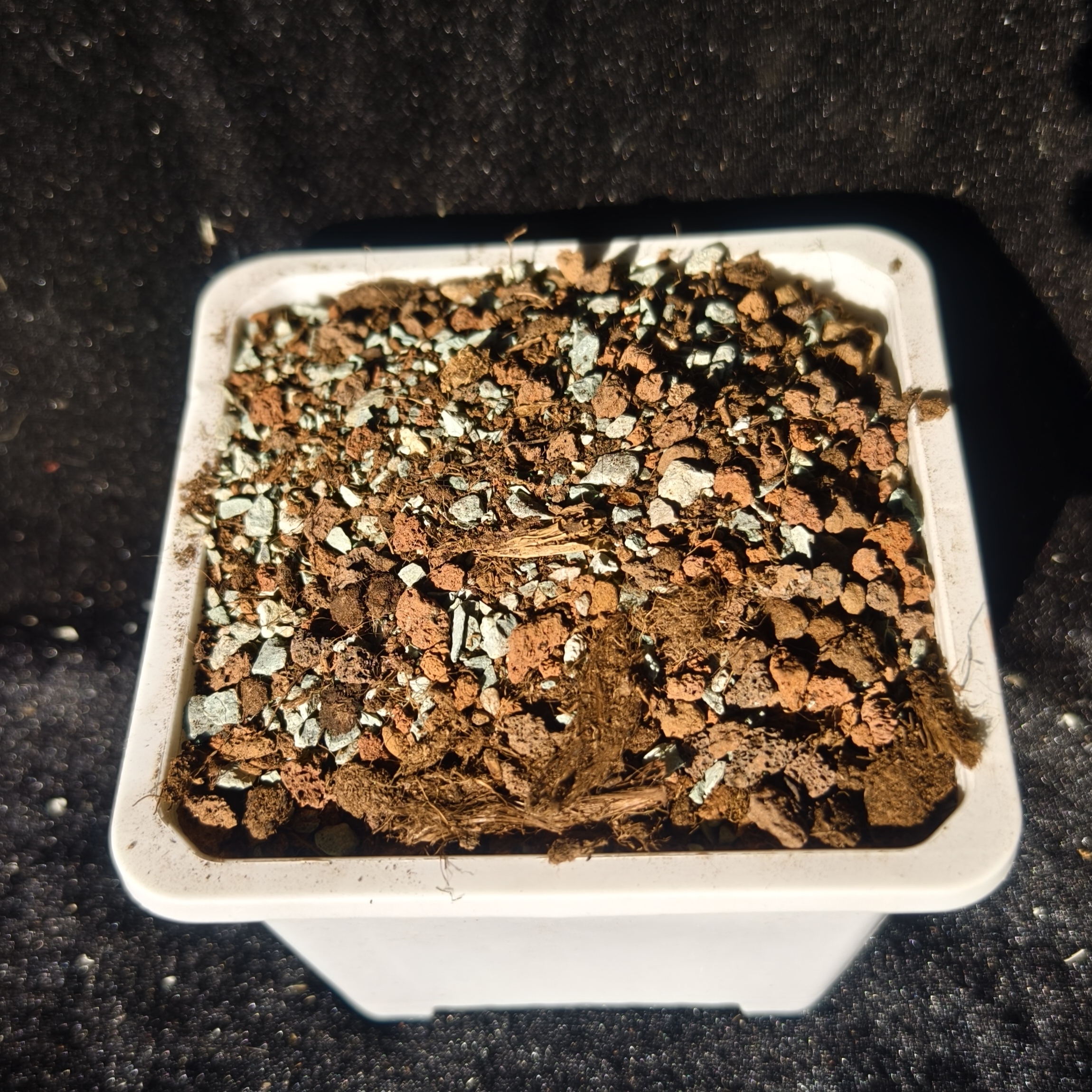 萌绮园艺：多肉专用控养土小苗土营养土百分比配方，透气控养育苗土