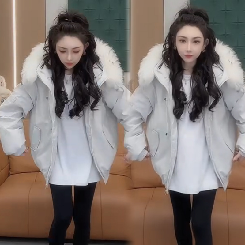 2025秋季新款时尚显瘦气质网红高档洋气女高级百搭宽松大码派克服