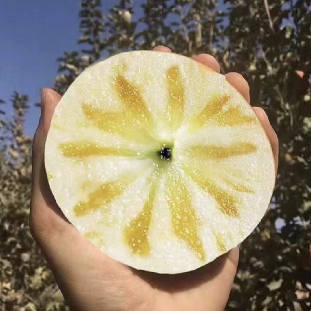 冰糖心水裂纹红富士丑苹果山西运城临猗坡上酥脆香甜多汁新鲜正宗