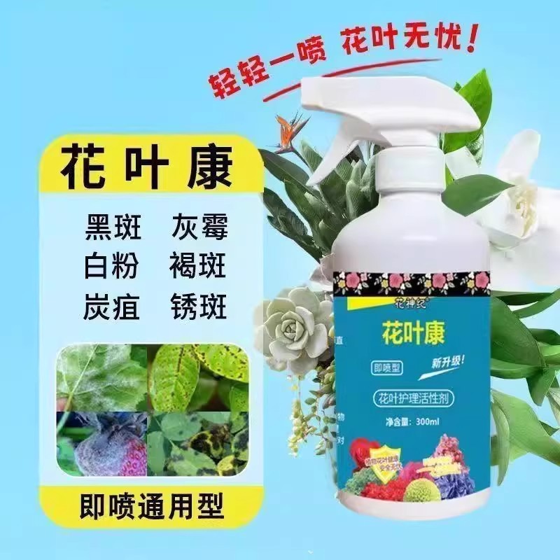 花叶康喷雾花病康活性剂月季花卉多肉灰霉叶斑黑斑白粉