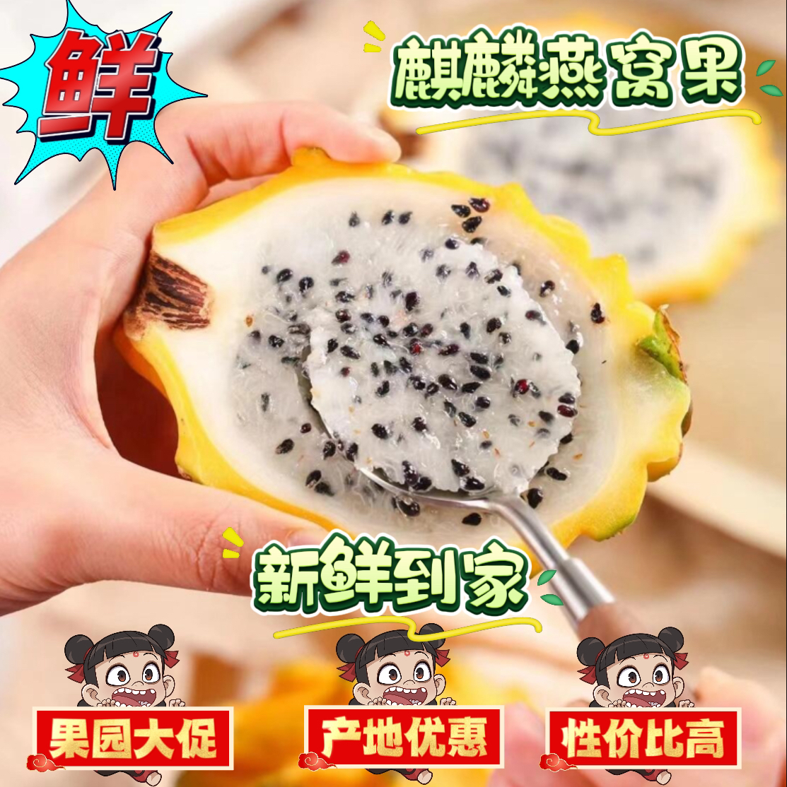 【果地降价】新鲜麒麟燕窝果黄皮白心火龙果应季热带整箱海南麒麟果