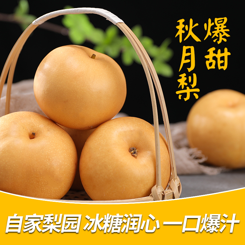 山东安徽秋月新鲜水果秋月梨梨顺丰包邮新鲜梨子秋月水果礼盒