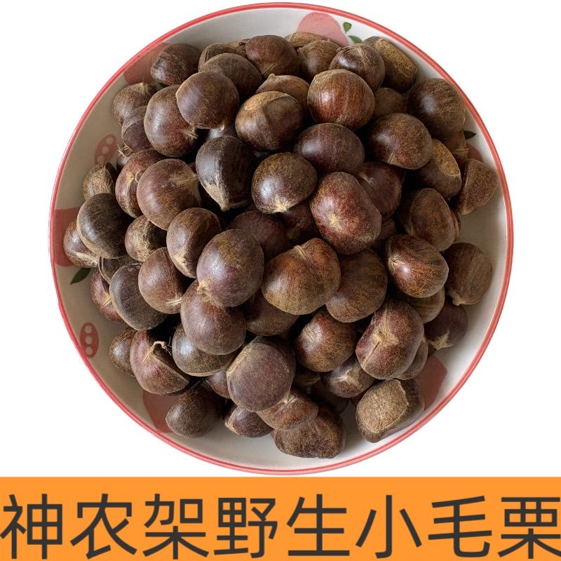 神农架小毛栗 熟吃软糯香甜 生吃脆甜 高山新鲜小毛栗
