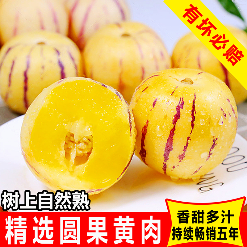【顺丰快递】云南石林人参果圆果树上熟新鲜清甜多汁水果产地直发