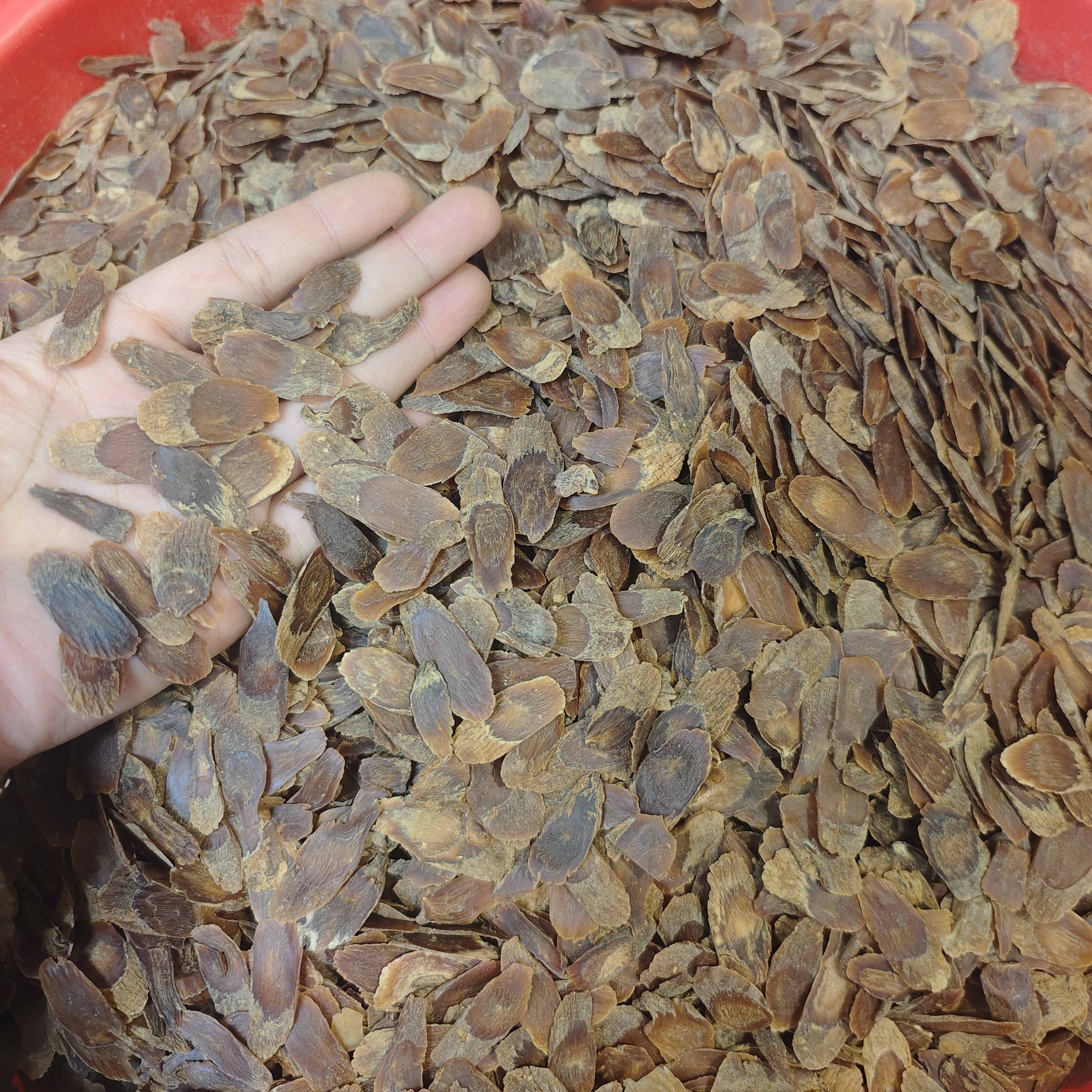 ［正品高丽中片］品质好色泽好