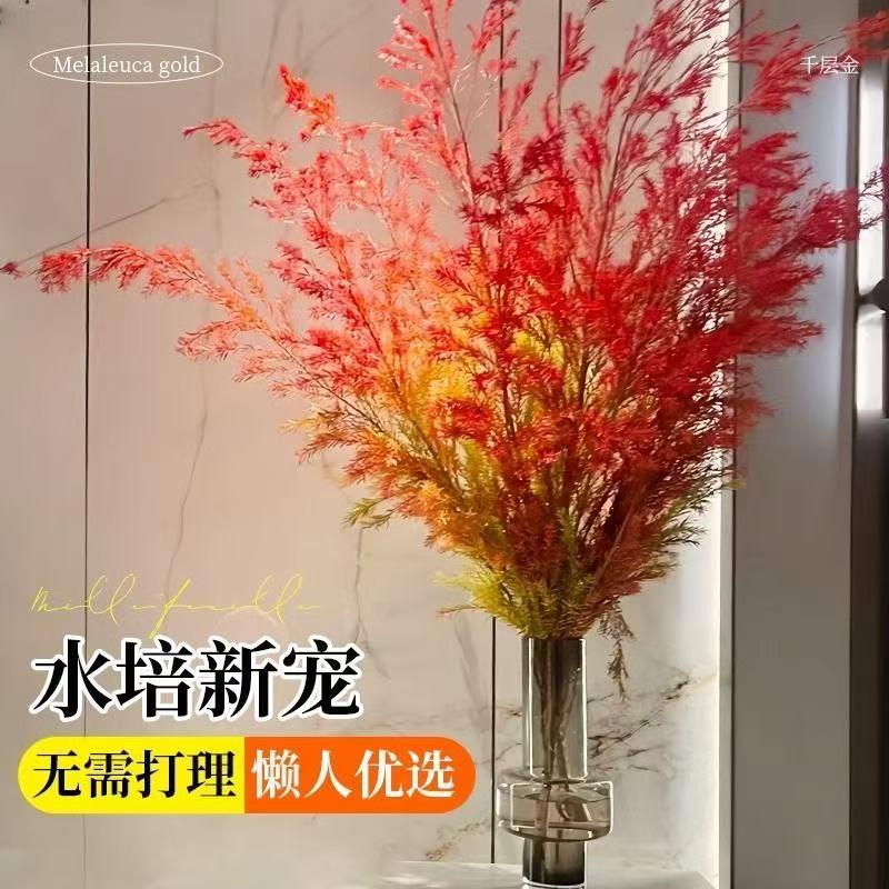 包邮  千层金香柳鲜花高颜值客厅装饰好养活可做干花