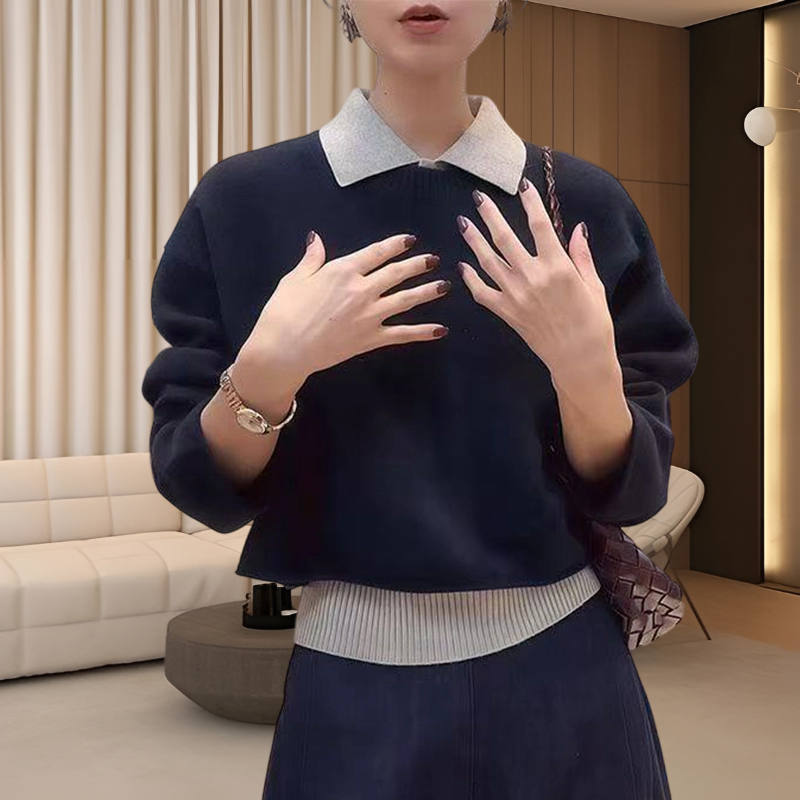 千金清冷感贵系衣服针织套装女款2025新款秋冬穿搭背心内搭两件套