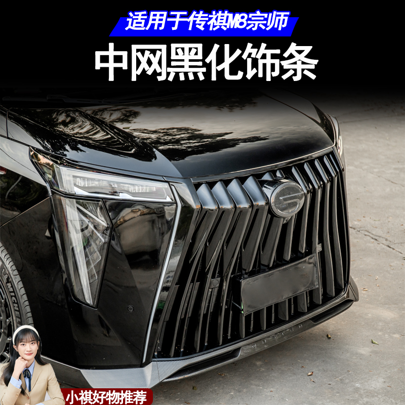 适用于传祺M8宗师/E9中网黑化黑武士套件镀铬条ABS黑化饰条配件