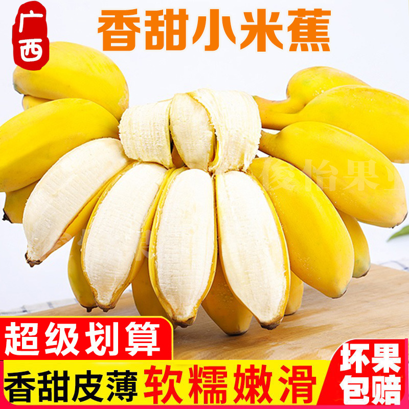 【粉丝福利F4】农家香甜小米蕉应季新鲜水果直播卖货10斤批发1/5斤