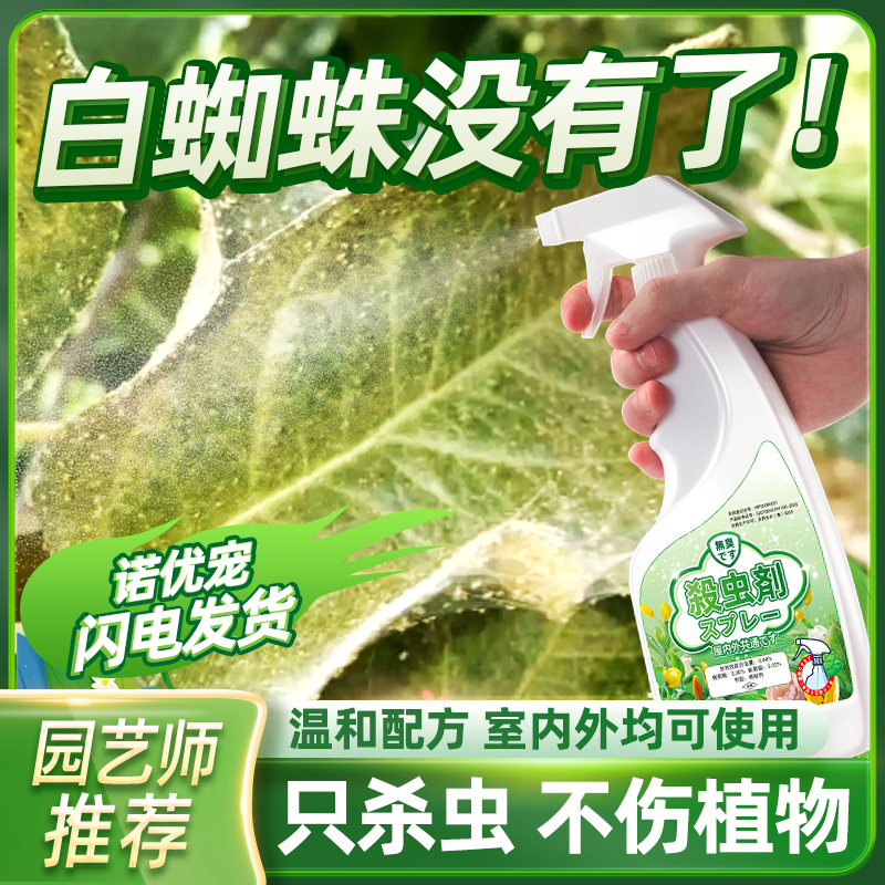 杀白蜘蛛专用药杀虫剂治喷雾除专杀灭去专死月季花红金满枝介壳虫