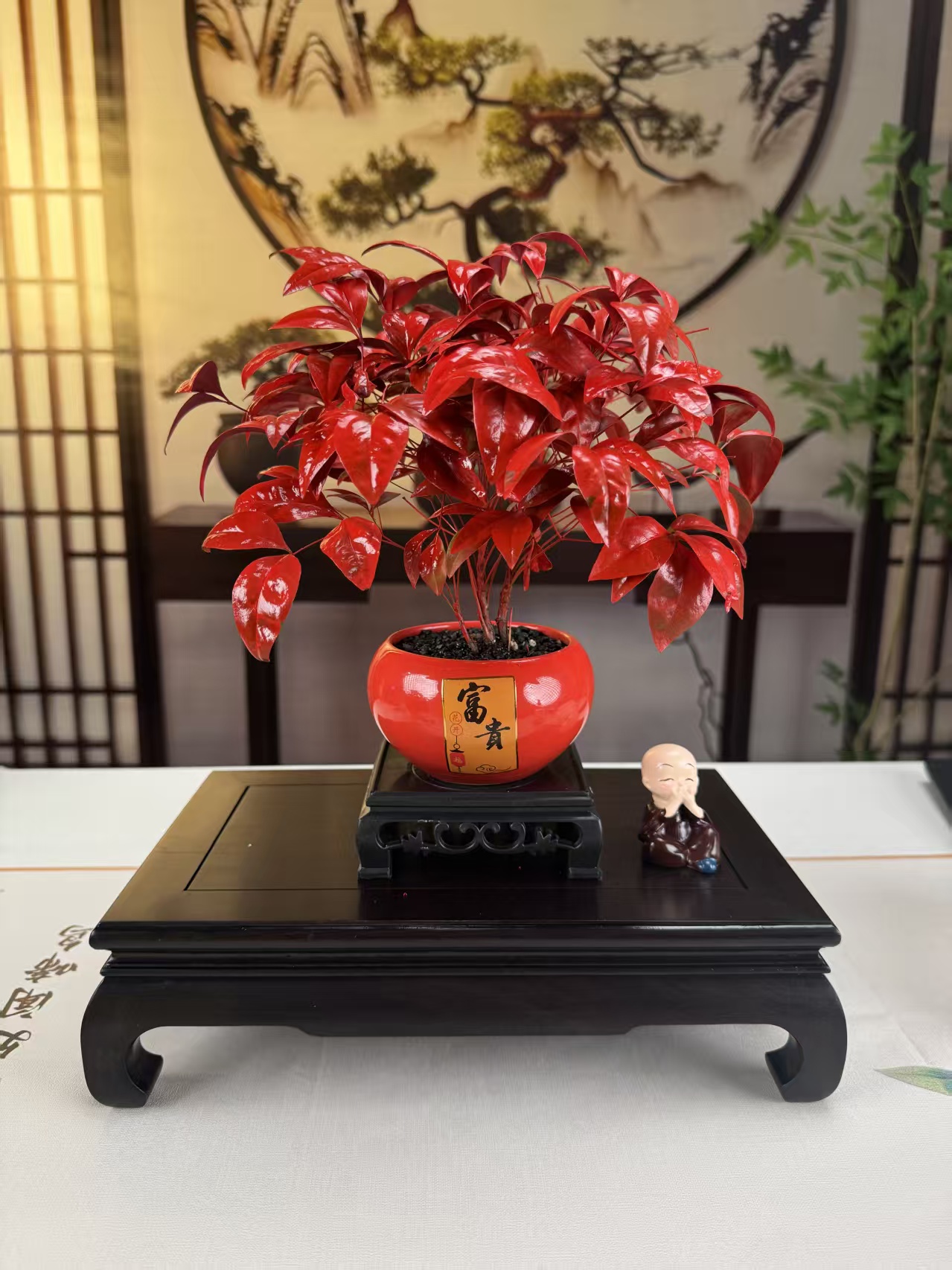 【年宵花】火焰南天竹四季观叶盆栽耐寒美观书房办公室桌面禅意摆件