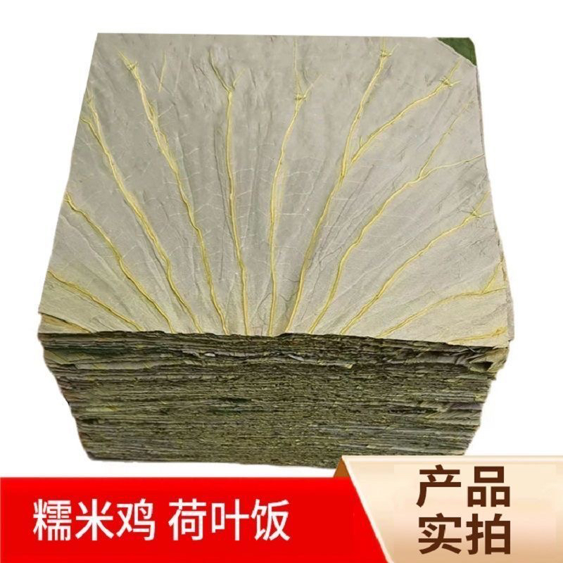 微山湖方形干荷叶切片糯米鸡荷叶饭糯米鸡粽子家庭切片荷叶方形