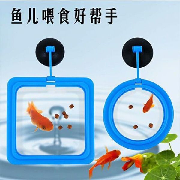 鱼缸喂食器水族箱鱼食投食器喂食圈小型鱼热带小鱼饲料浮力投喂器