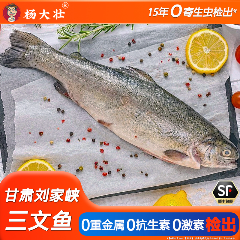 冰鲜国产三文鱼甘肃刘家峡高品质生食虹鳟鱼整条分割刺身顺丰同城