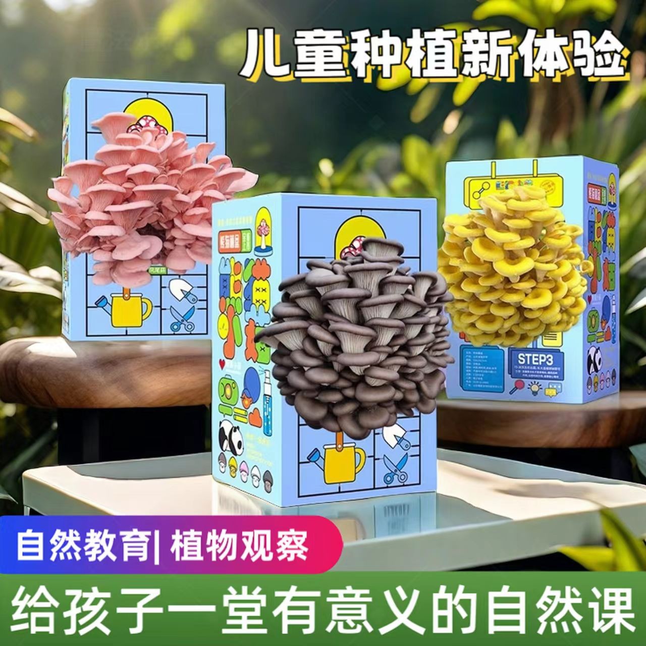 蘑菇种植菌包平菇蘑菇盒家庭室内种植蘑菇科学小实验儿童益智玩具