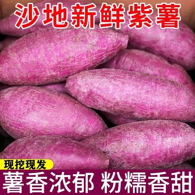 【现挖现发】2025年新鲜沙地紫罗兰紫薯紫心番薯地瓜软糯粗粮代餐