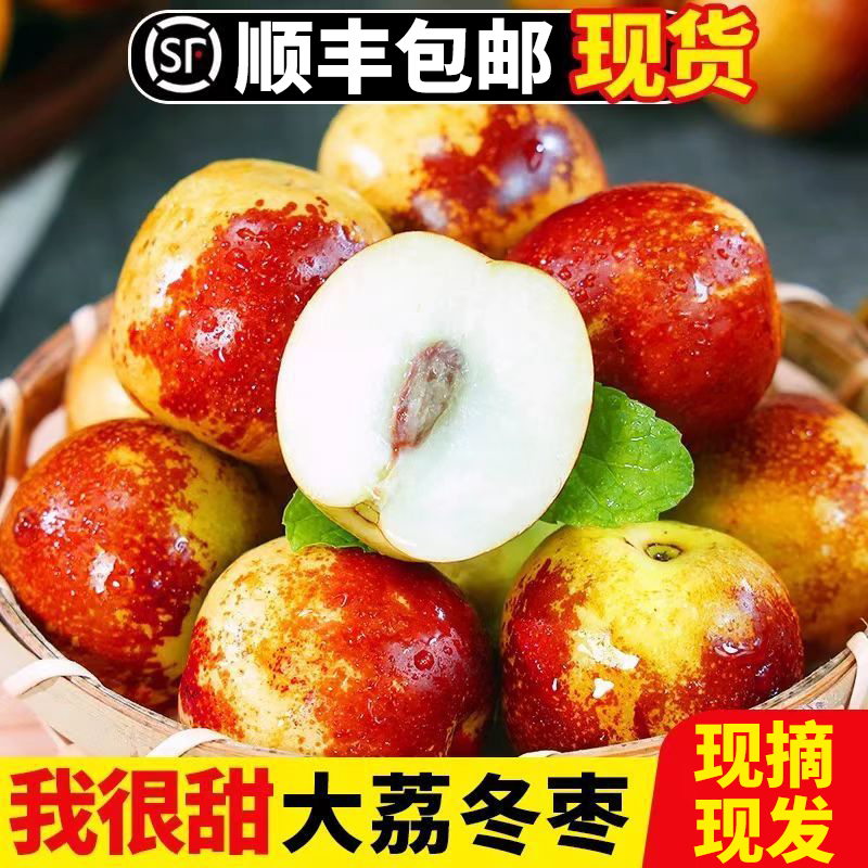S1【顺丰包邮】陕西正宗大荔冰糖冬枣应季新鲜脆枣现摘现发礼盒装