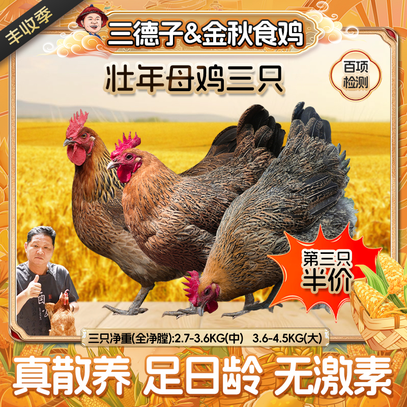三德子【第三只半价】散养壮年母鸡三只农家土鸡滋补炖汤中秋送礼