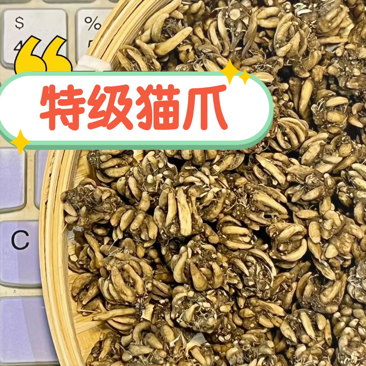 信阳猫爪草发源地纯天然猫爪草正宗正品干货水洗无硫新鲜猫抓草