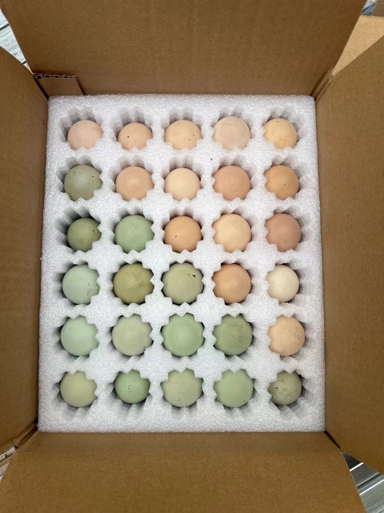 八哥农场土鸡蛋（混合）初生小蛋