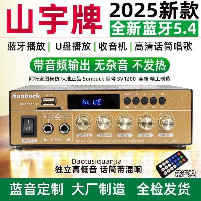 全新迷你唱歌输出功率U盘收音调节直流12V220V蓝牙功放音响功放机