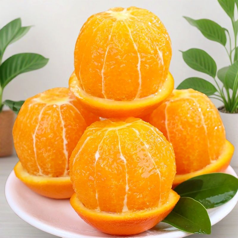 正宗新鲜纽荷尔脐橙子农家自种新鲜现摘水果皮薄多汁香甜可口