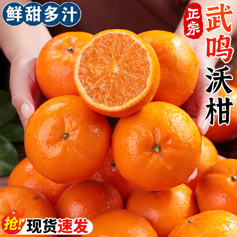 Y【产地直发】正宗广西武鸣沃柑当季新鲜水果非丑橘皮薄多汁桔子