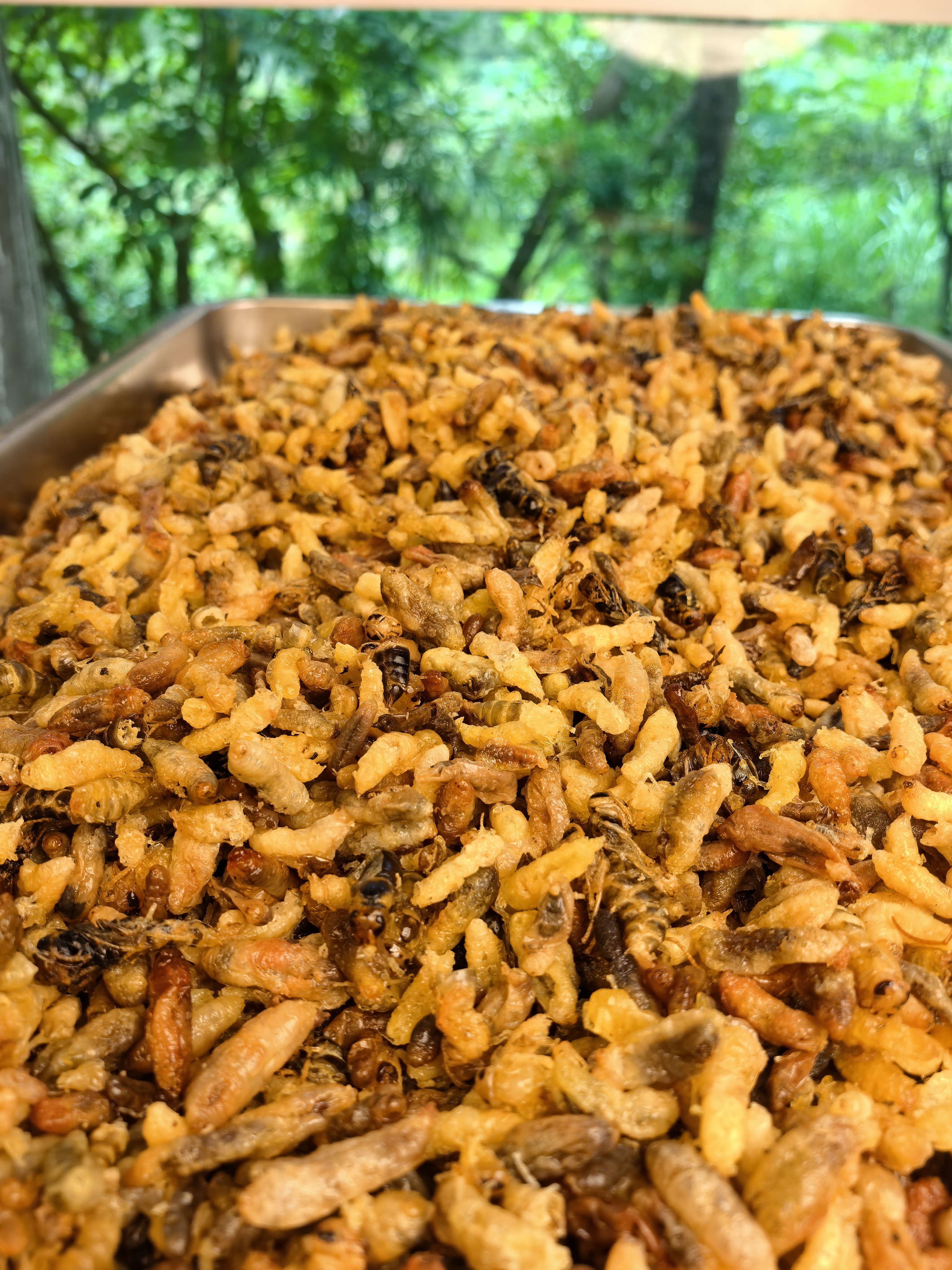 现炸胡蜂七里蜂马蜂1234级统货福利（介意有内脏勿拍）