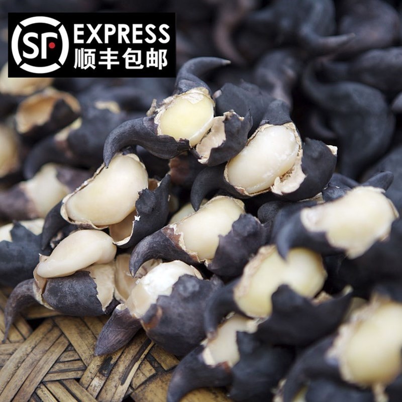 洪湖菱角新鲜老菱角现摘现发湖北菱角农家特产新鲜蔬菜顺丰包邮