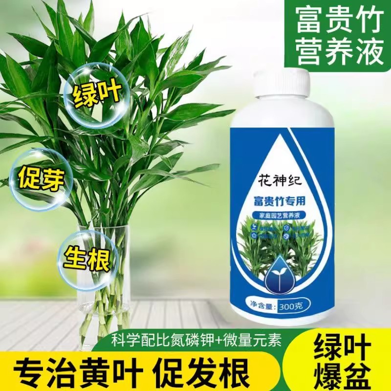 养花富贵竹专用营养液通用发财竹稀释浓缩型治叶子发黄营养液增根