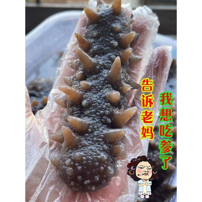 特级即食辽参海参黑刺王参猪婆参海味干货淡干印尼刺王参60克每条