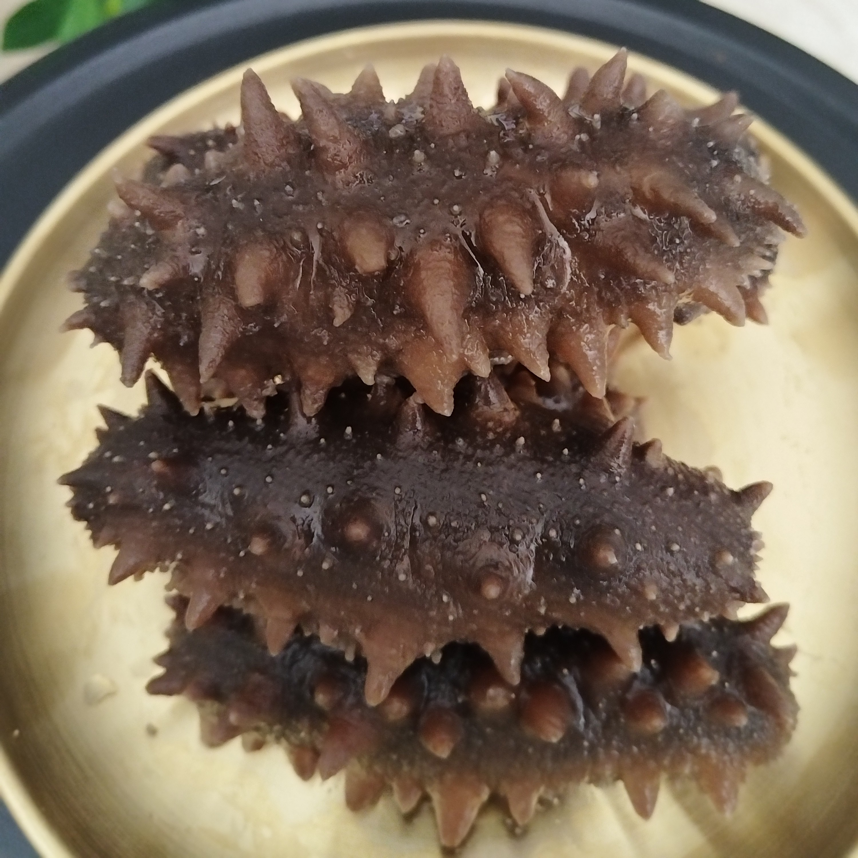 大连海参正宗辽刺参高端品质500g软糯Q弹饱满顺丰京东冷链配送