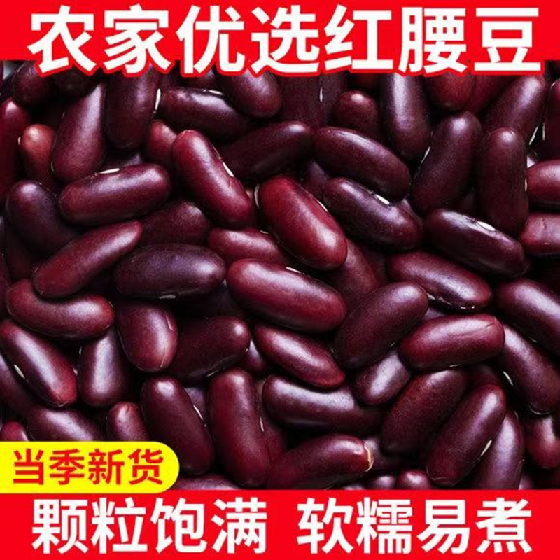 云南红腰豆特产大红豆红腰豆红芸豆红豆新货芸豆煲粥五谷