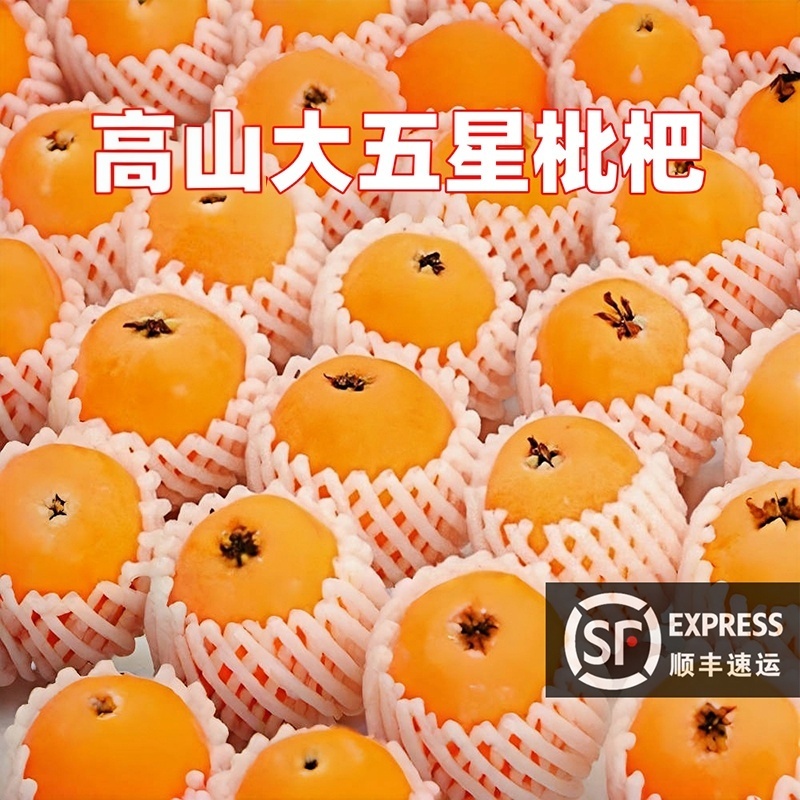 【顺丰包邮】高山枇杷大五星枇杷新鲜采摘当季水果露天土枇杷甜鲜果