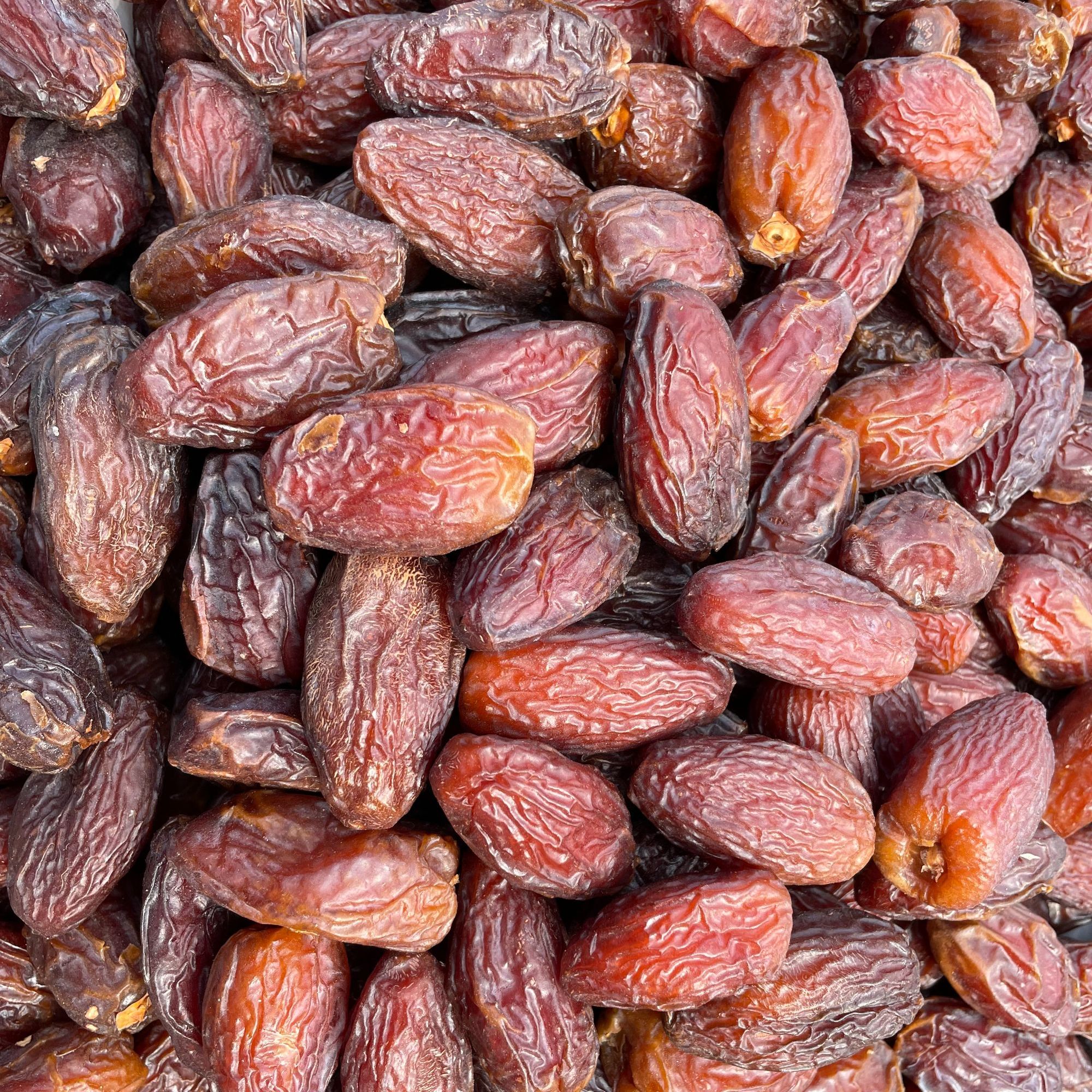 胖椰枣 مەجنۇن خورما