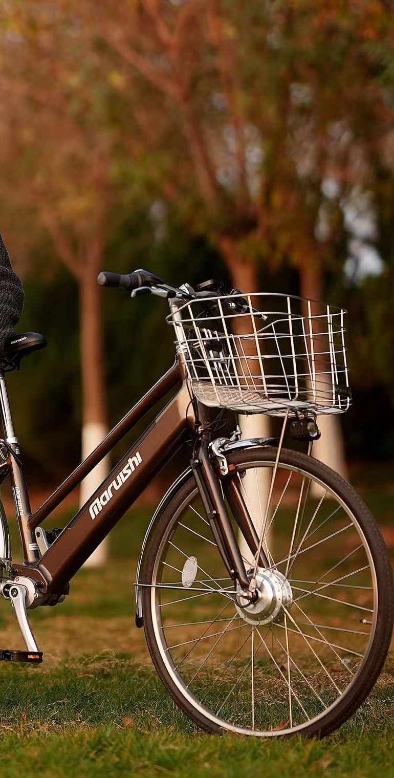 丸石maruishi 全新自行车 26寸助力内三速