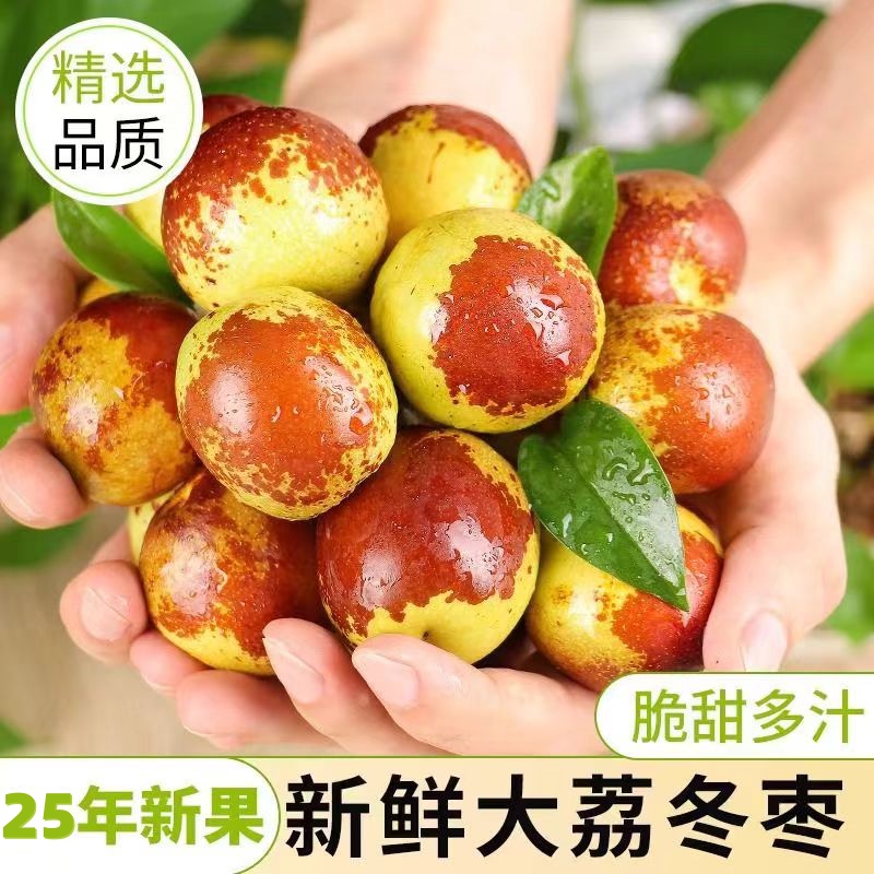 【顺丰/JD】现摘新鲜大荔冬枣新鲜水果脆甜冬枣当季新枣孕妇S3-1