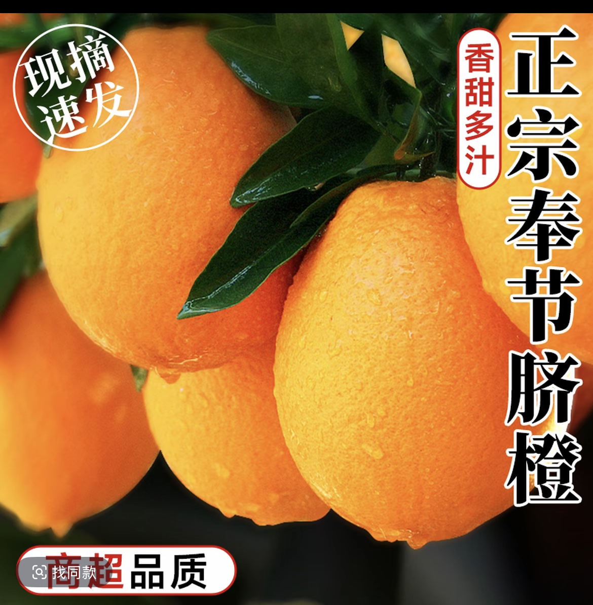 三十年老字号正宗奉节草堂脐橙果园直发新鲜水果当季甜橙子