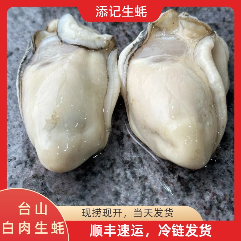 台山白肉生蚝2斤起【中蚝】鲜活爽脆