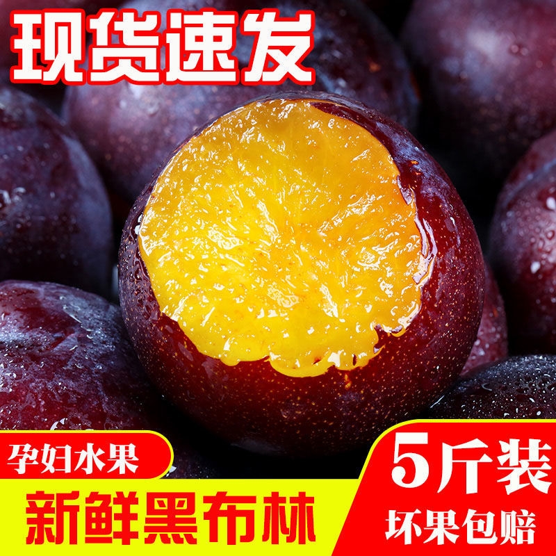 【净重4.5斤】陕西黑布林李子当季新鲜水果现摘现发水果软硬两吃