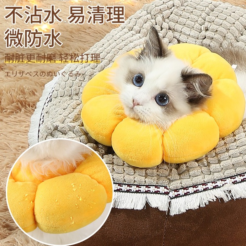 猫咪绝育围脖太阳花伊丽莎咪涂药防舔护理套可调节宠物项圈