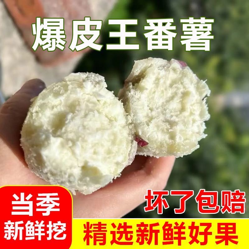 现挖新鲜白心板栗红薯粉糯香甜当季正宗爆皮王番薯
