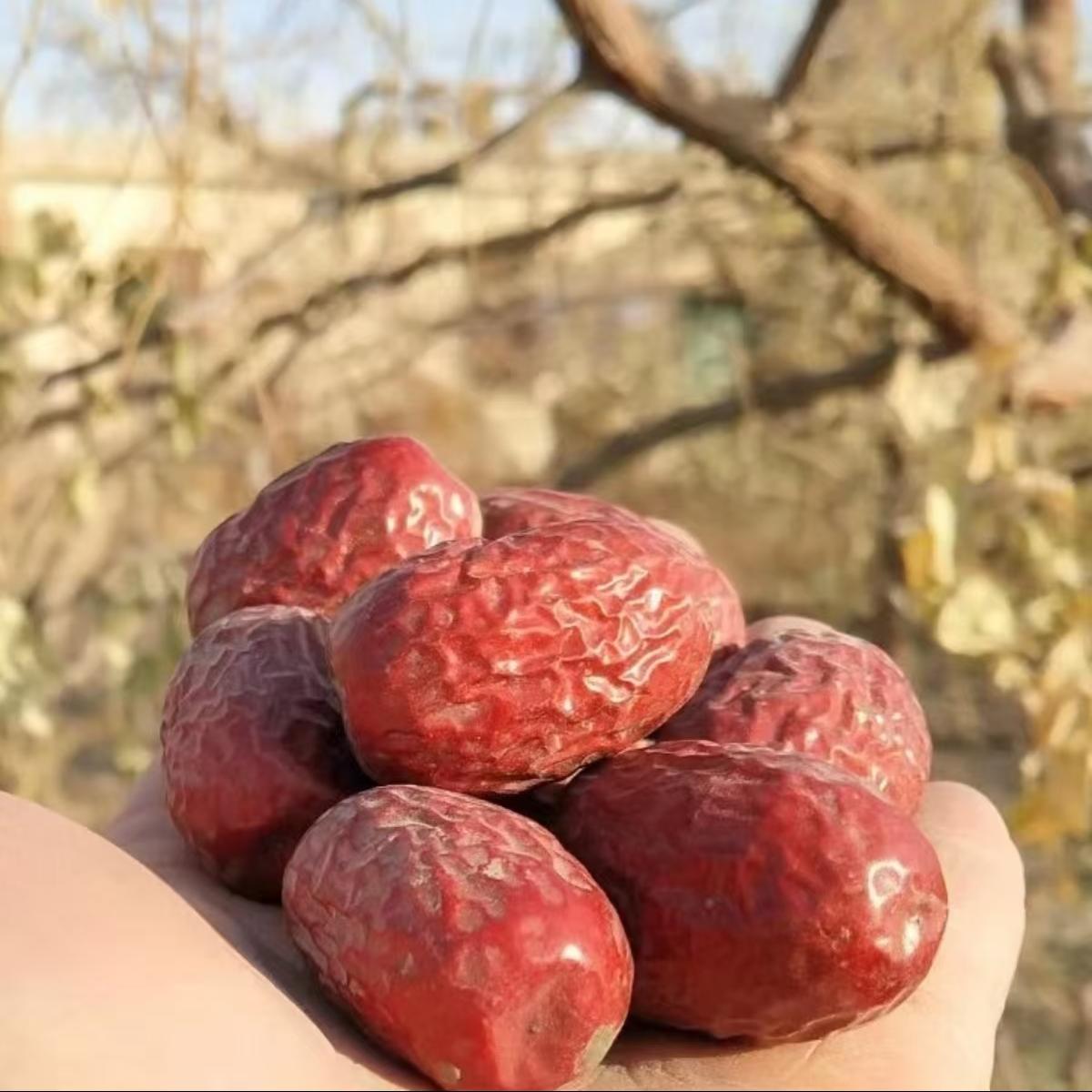 潮星精选♥新疆红枣灰枣无洗水树上自然吊干原生态包邮送礼