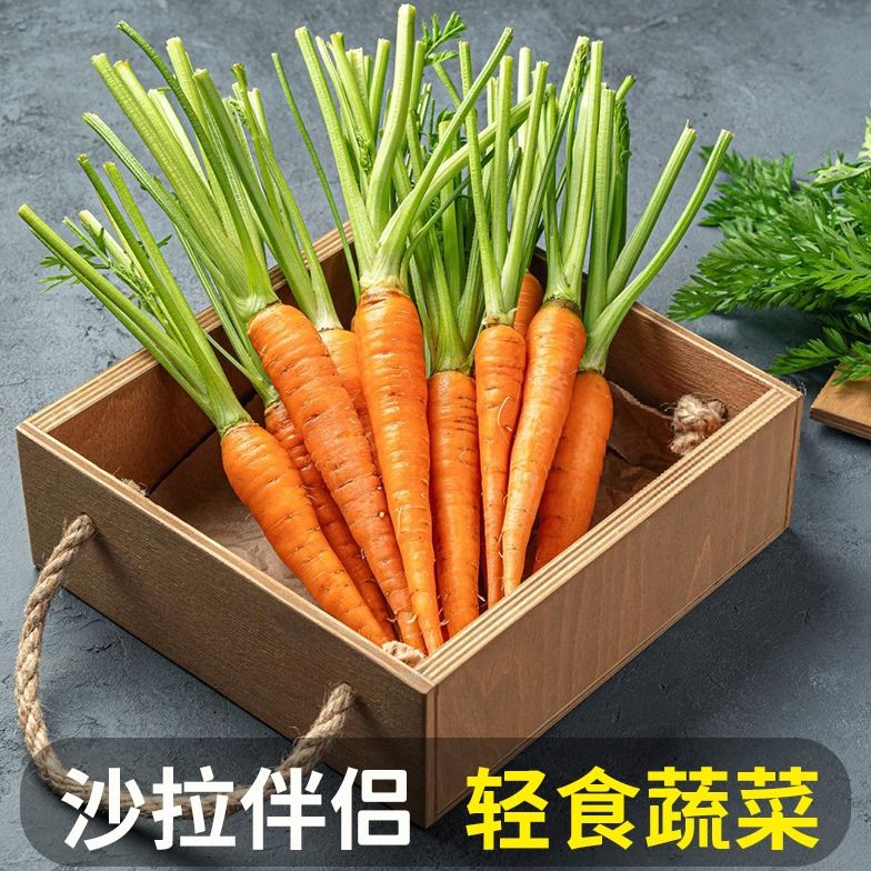 新鲜去叶手指萝卜迷你水果胡萝卜新鲜蔬菜轻食沙拉生吃西餐食材