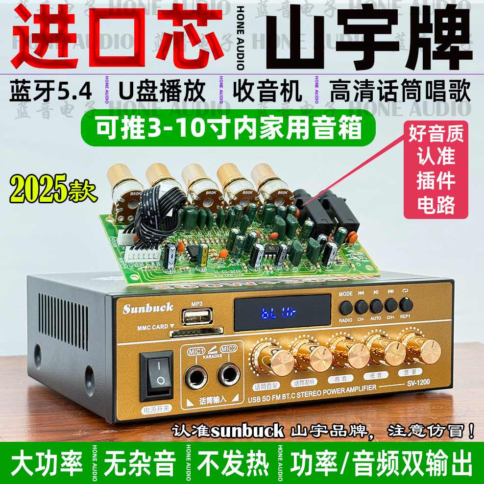全新220V大功率功放机蓝牙5.4家用HIFI无损12V插卡U盘收音小功放