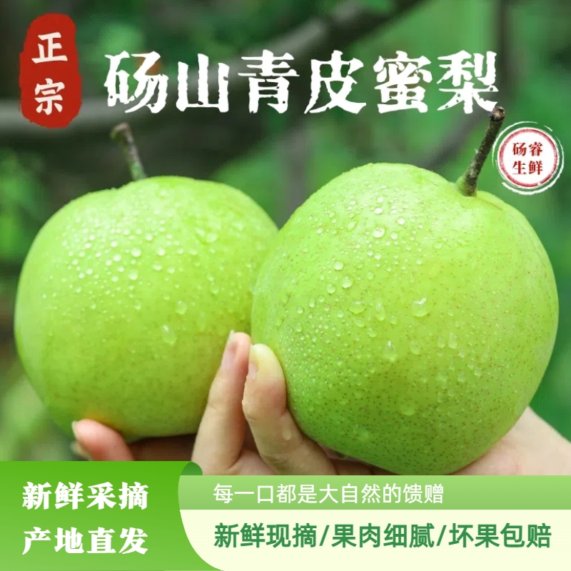 正宗砀山青皮蜜梨皇冠梨翠冠梨苹果梨新鲜水果脆爽酸甜现摘现发