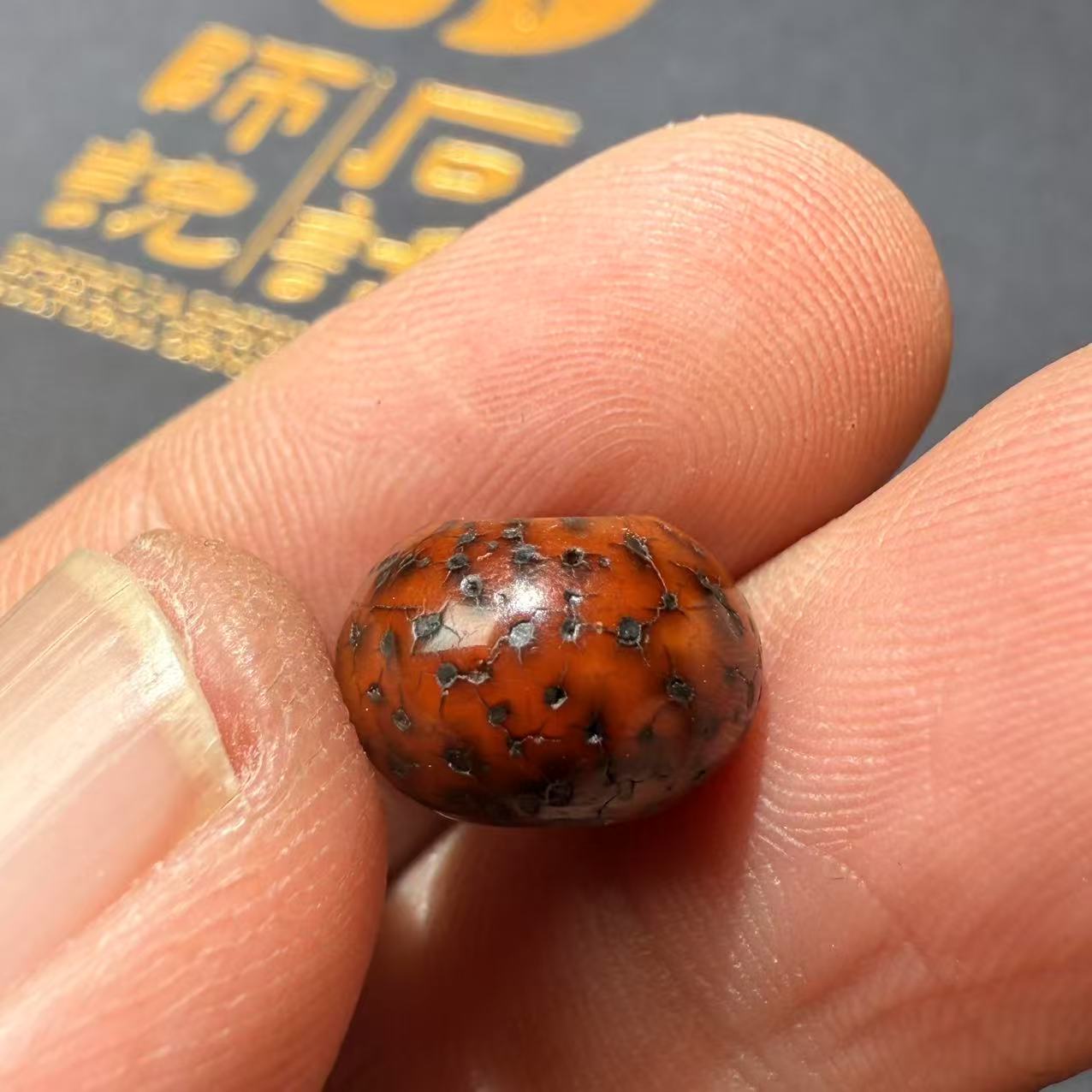 老星月菩提单籽 现场配籽（发图报尺寸给客服）