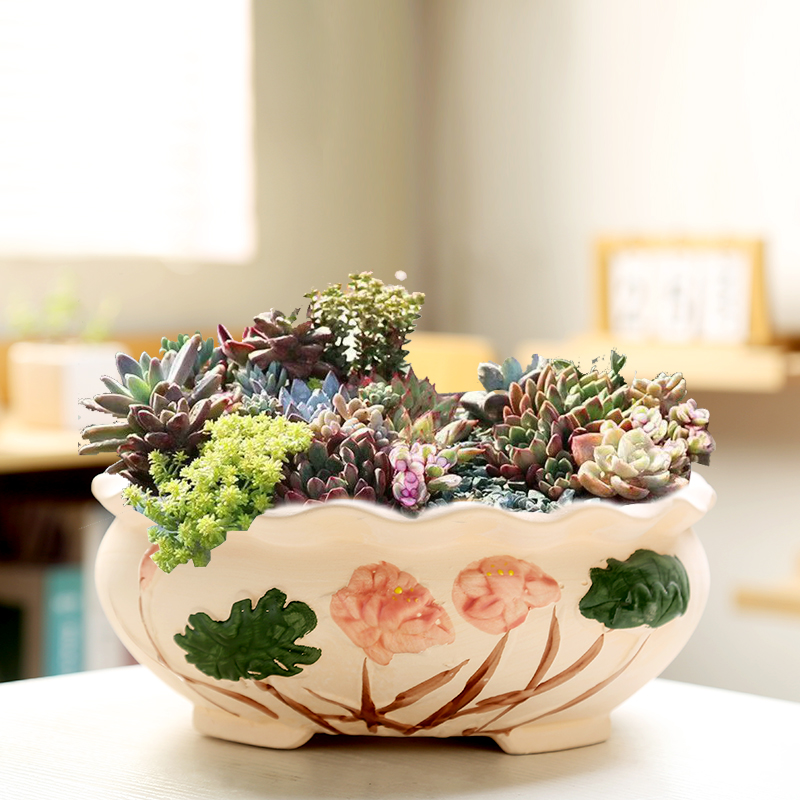 大口径粗陶透气多肉群生植物花盆陶瓷超大号拼盘创意花盆清仓捡漏